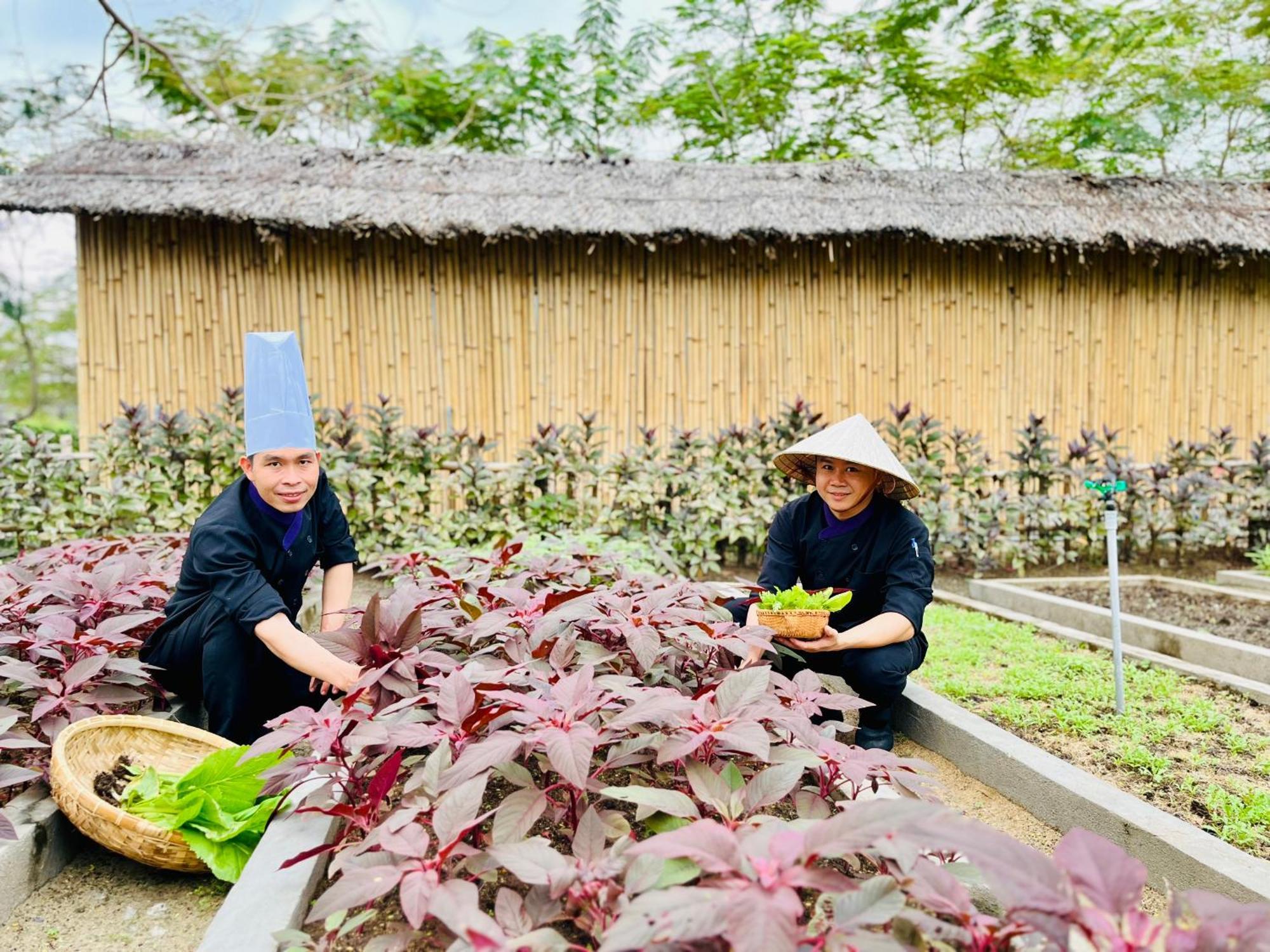 Ttc Van Phong Bay Resort - Himalaya Sauna & Steam Retreat Included Ninh Hoa Ngoại thất bức ảnh